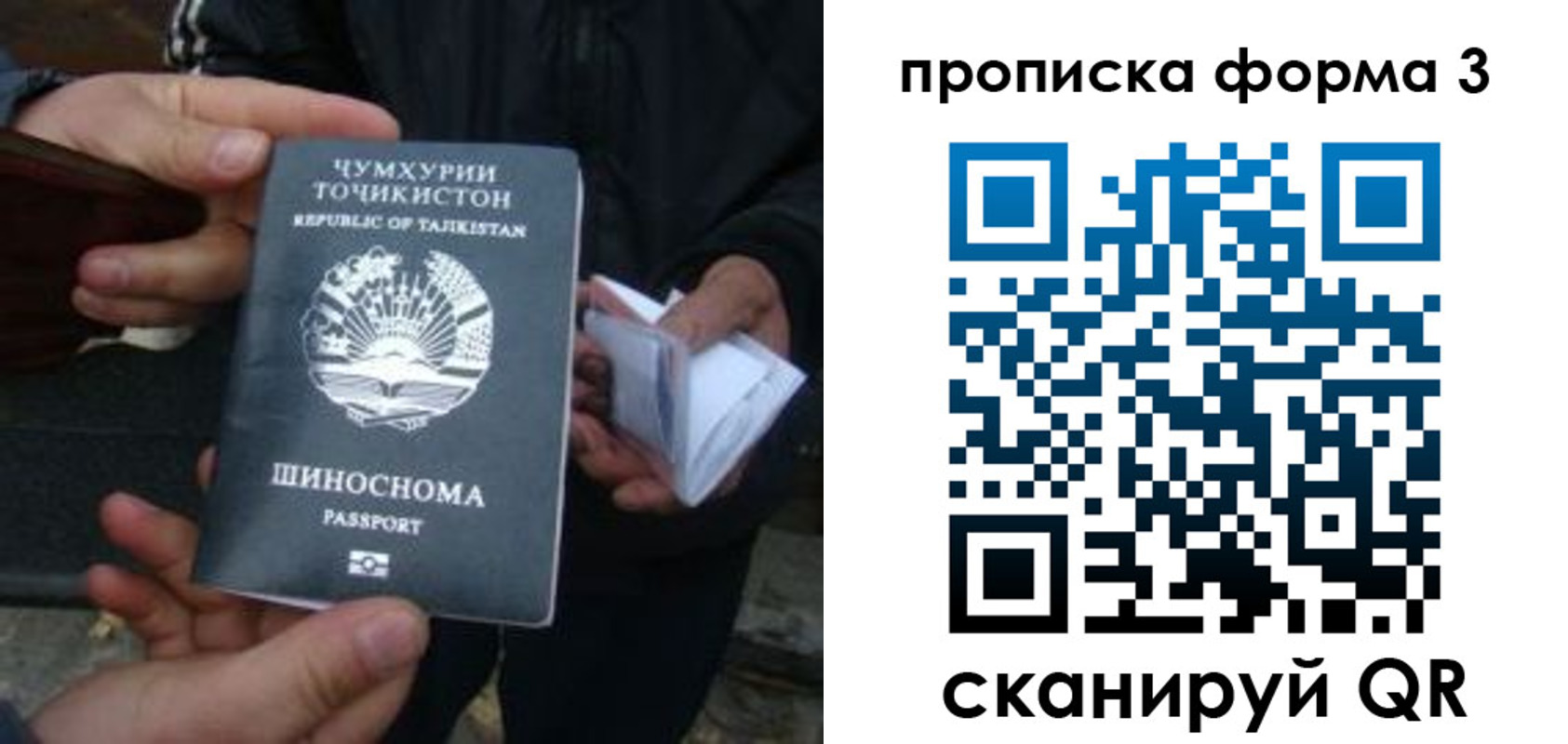 прописка 2025 в Владимирской области